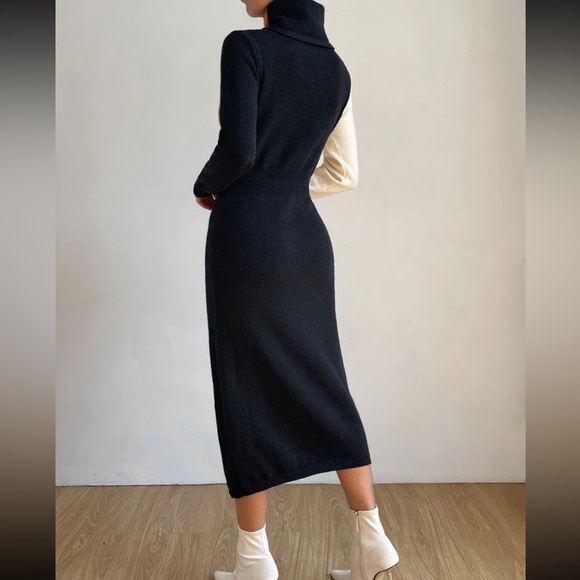 NWOT Privé Color Block Turtleneck Sweater Dress - Picture 3 of 5